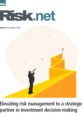 Elevating risk management to a strategic partner in investment decision-making